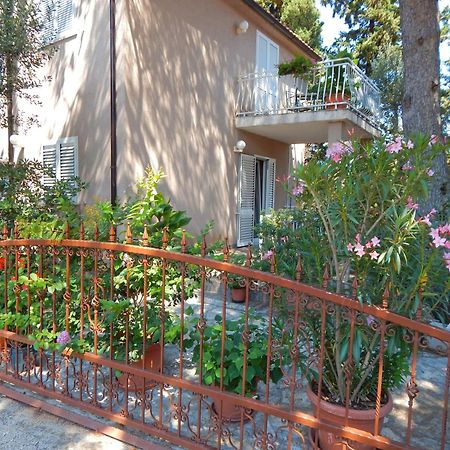 סטארי גראד Adrienn Apartments מראה חיצוני תמונה