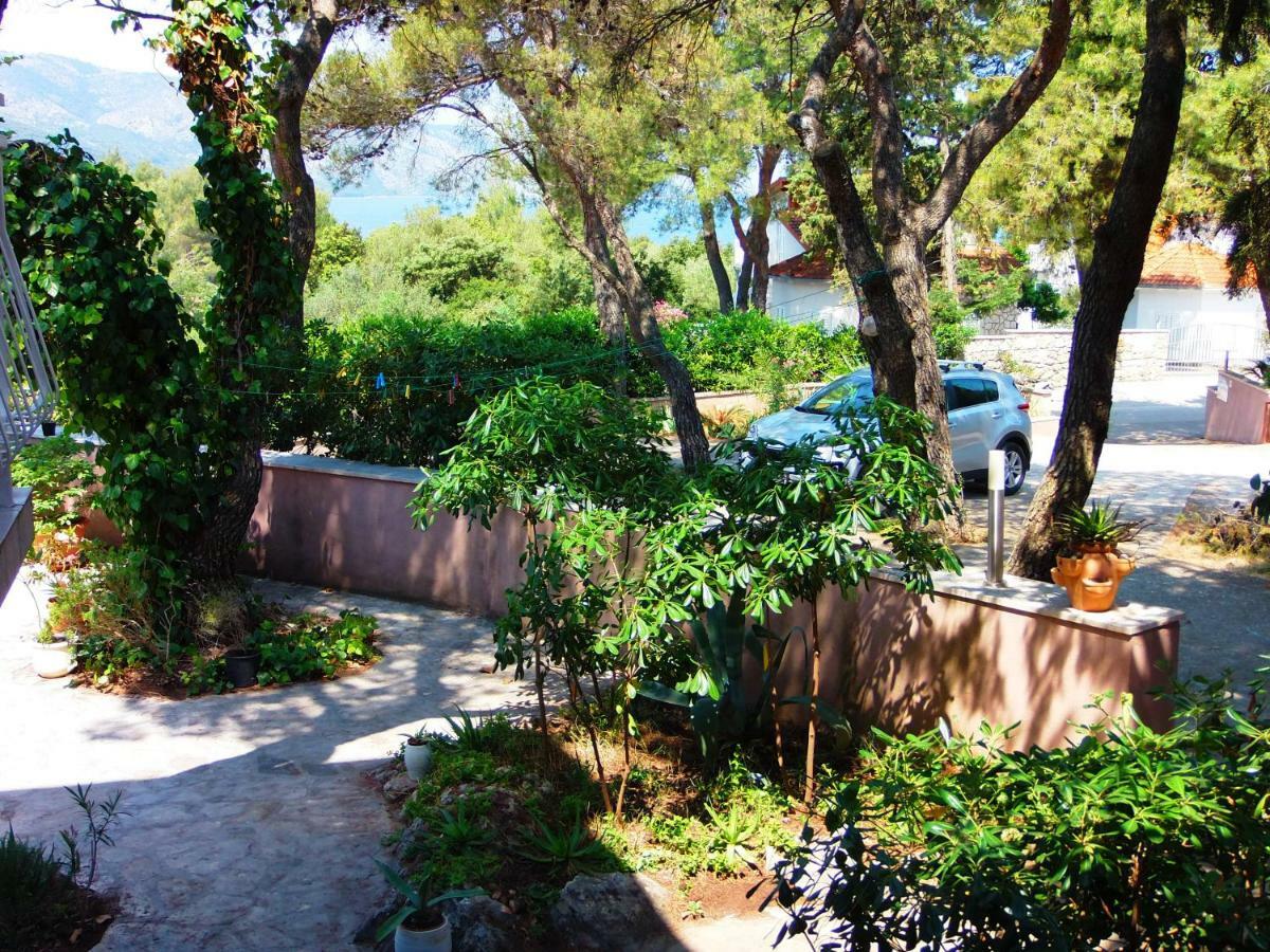 סטארי גראד Adrienn Apartments מראה חיצוני תמונה